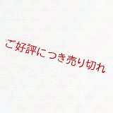 和装肌着　二部式襦袢　綸子友禅　七色タヅナ　半襦袢のみ　M