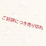 和装肌着　二部式襦袢　綸子友禅　源氏香うさぎ（クリーム）　半襦袢のみ　M