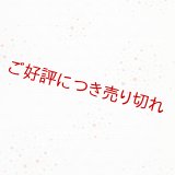 和装肌着　二部式襦袢　綸子友禅　七色あられ　裾除けのみ　S